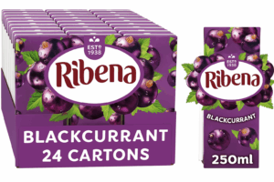 Ribena Blackcurrant 24 x 250ML
