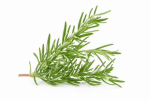 Rosemary (Kiral) 500G