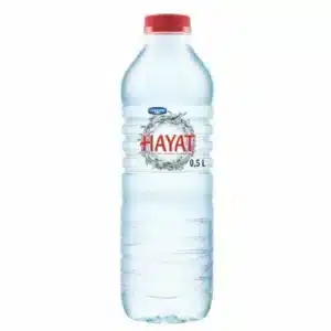 Water (Hayat) 24 x 500ML